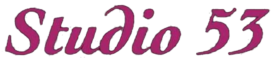 Studio 53 Salon and Day Spa logo